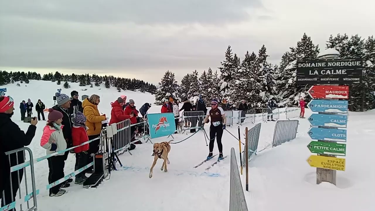 France Canicross blanc skiJo Font Romeu 2026