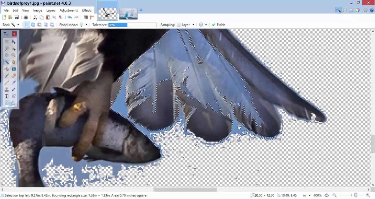 Deleting a background using Paint.Net