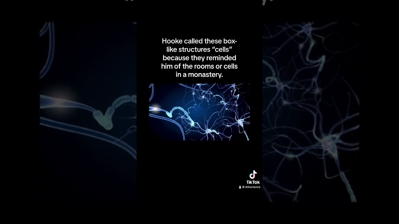 #cells #biology Learn more at drbscience.com!