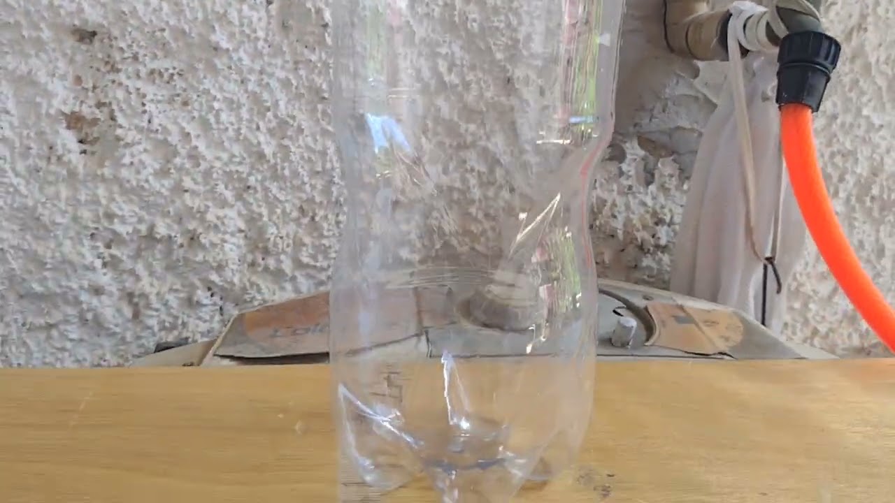 Vemifugando os pintinhos 