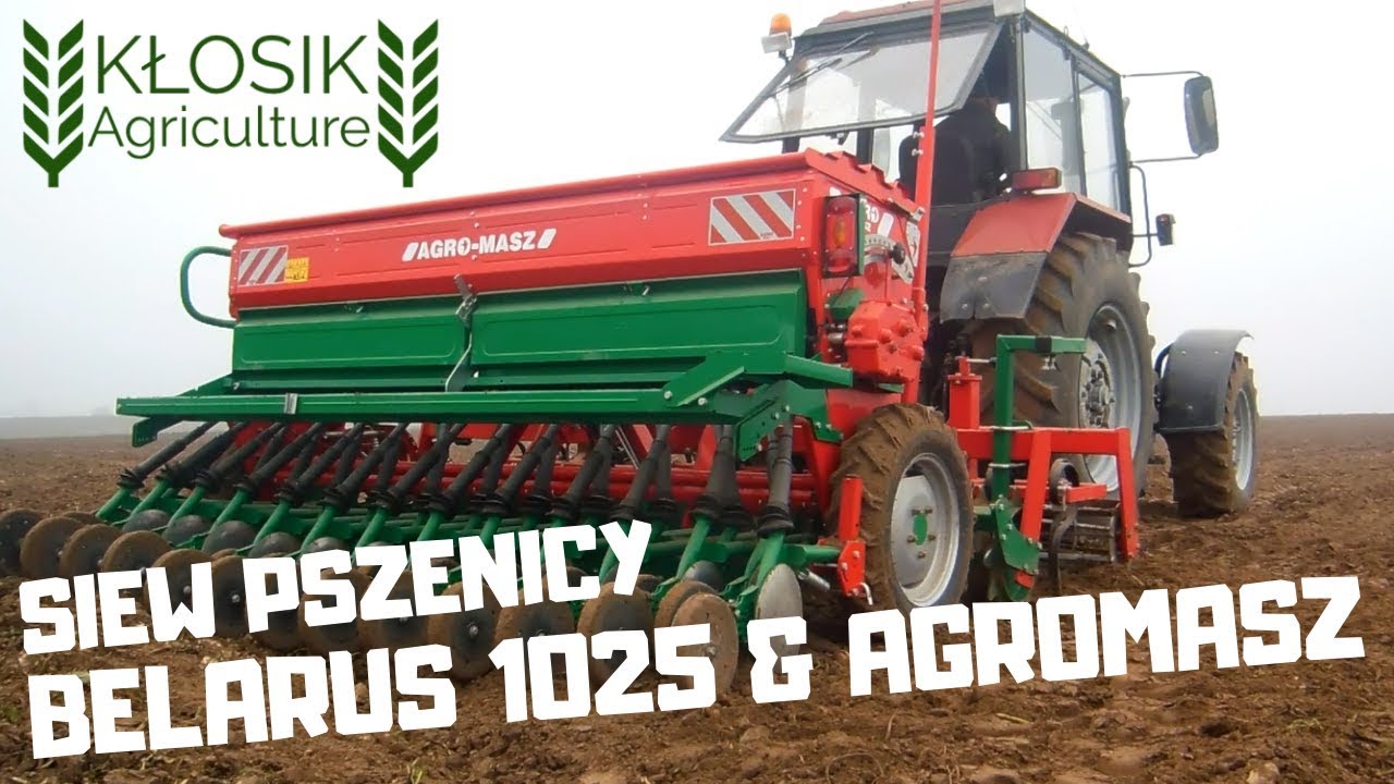 SIEW PSZENICY WE WSCHODNIM KLIMACIE! | BELARUS 1025 & AGRO-MASZ SR300  | Mgliste Zasiewy 2018!