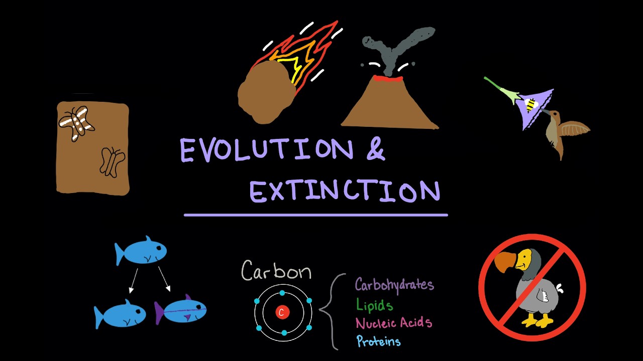 Ep 5: Evolution & Extinction