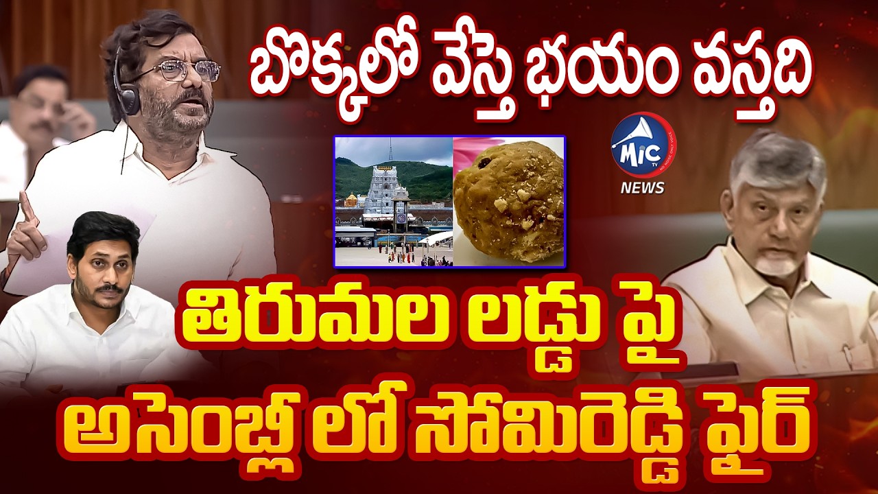 బొక్కలో వేస్తె భయం వస్తది | MLA Somi Reddy Fires ON Tirumala Laddu Issue | Mic Tv news