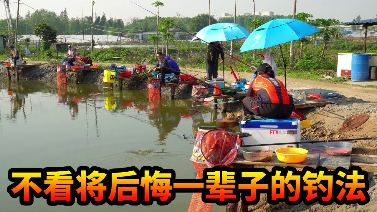 这是一条钓鱼高手必看的视频！罗非的另类钓法，在鱼不开口的时候能够起到关键作用#钓鱼 #游钓黑坑疯子 #黑坑