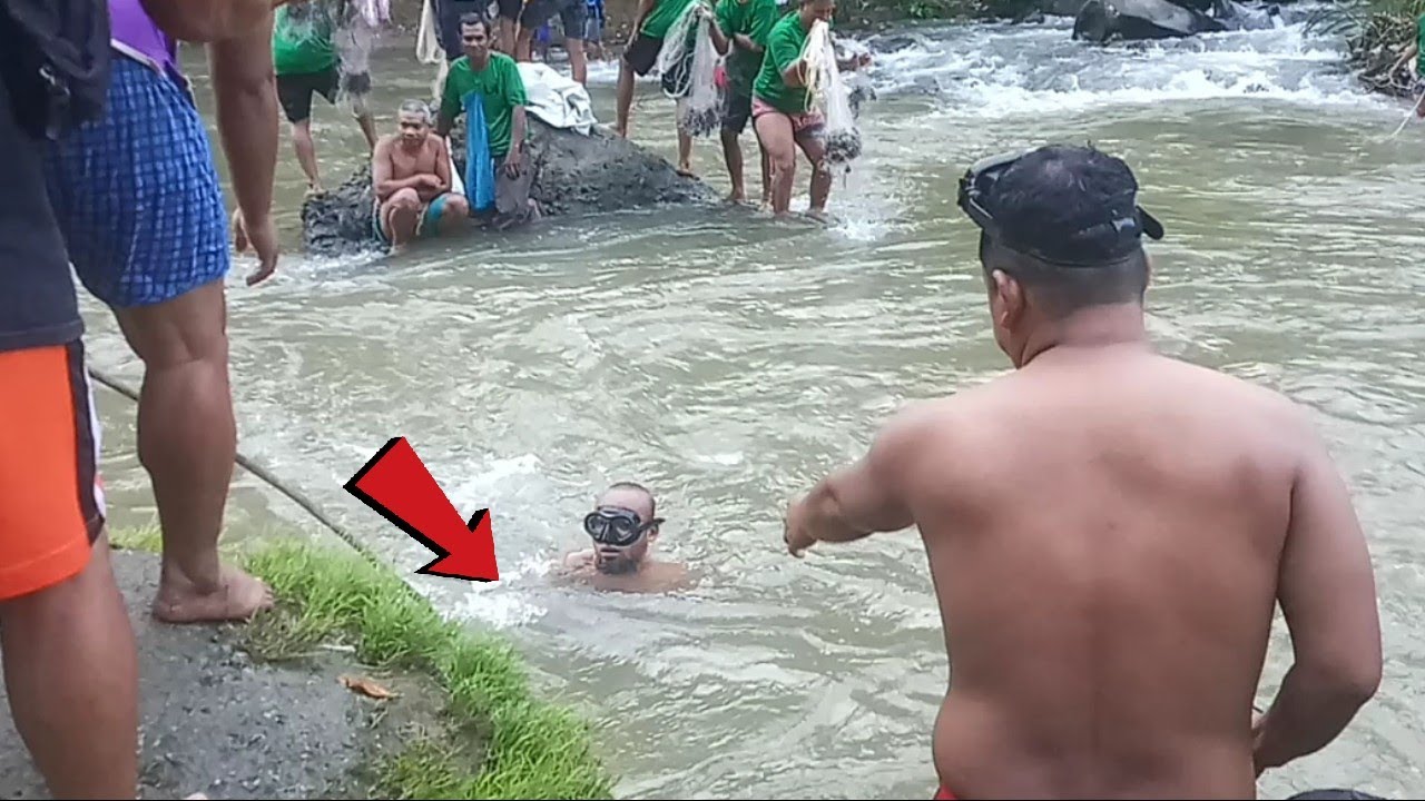 Cara Unik Menangkap Ikan di Sungai Lubuk Larangan Laru Lombang, Banyak Ikan Mera