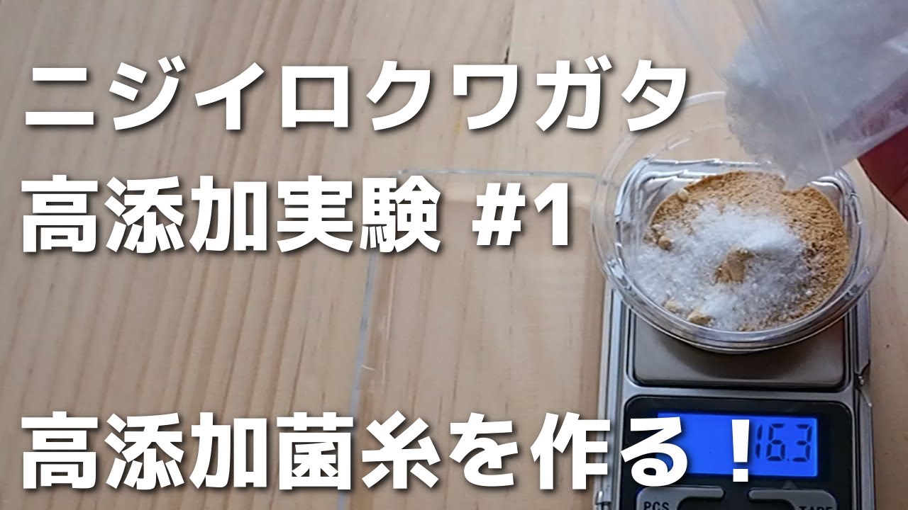 ニジイロクワガタ高添加実験 #1 高添加菌糸カップを作ってみる