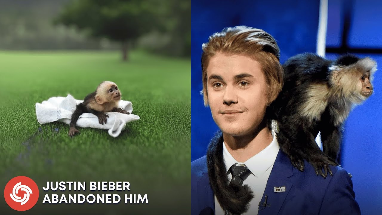 Justin Bieber Abandoned His Monkey After One Day