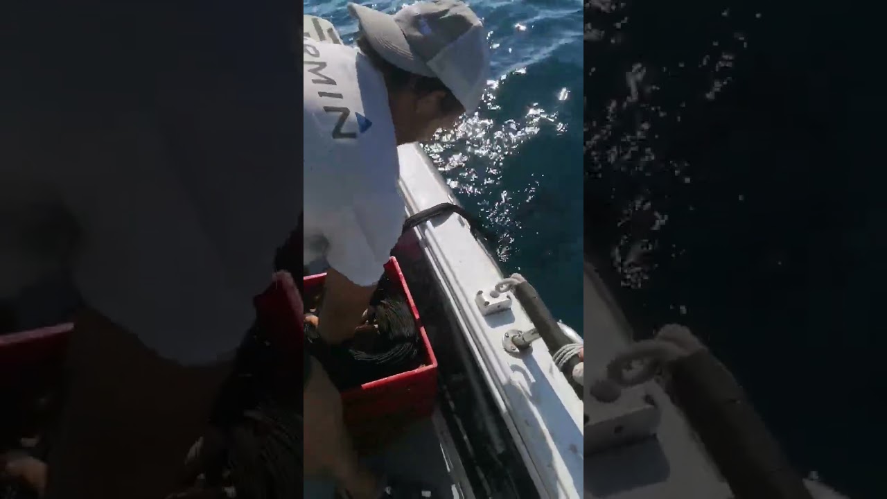 paracadute da pesca , come recuperarlo