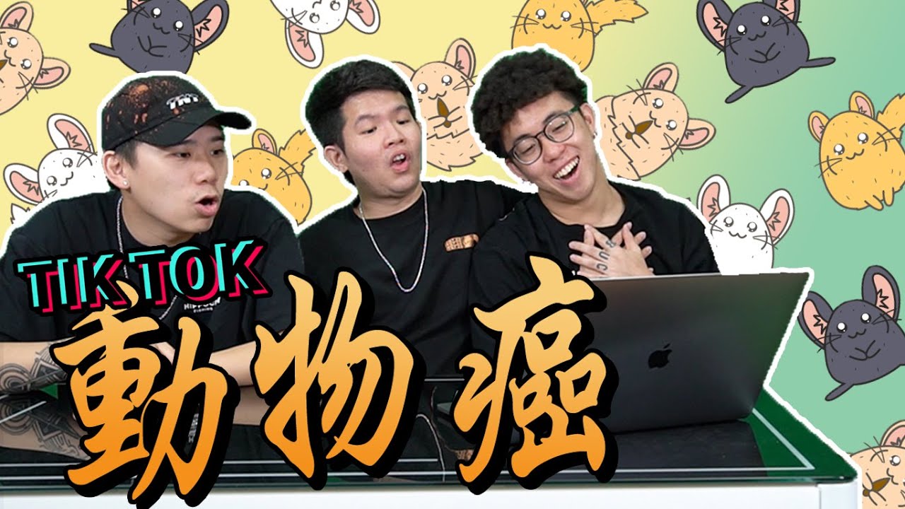 一個猴子，一個豬，一個...?【TIKTOK 動物癌 1.0】