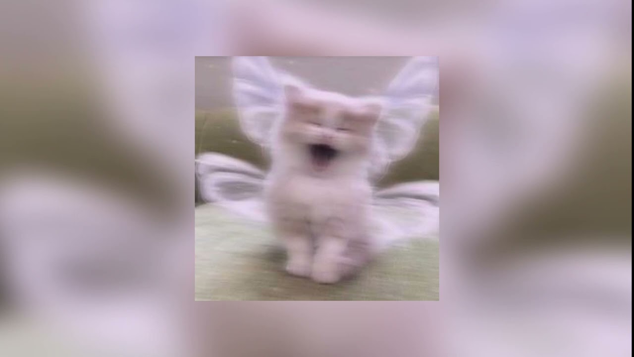 винкс — если решишь можешь ты стать одной из нас(speed up)