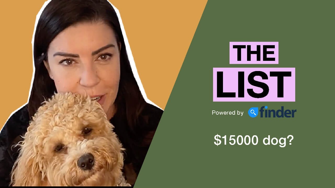 Is pet insurance REALLY worth it?