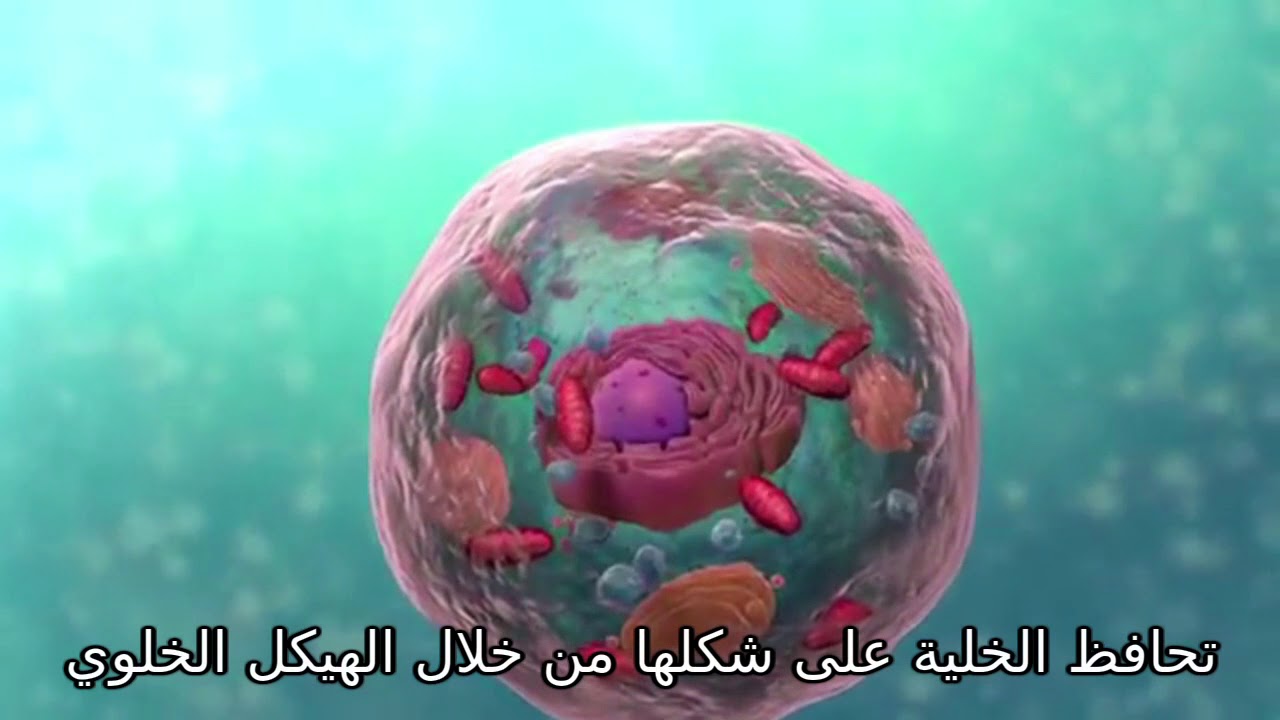 Biology: Cell Structure I Nucleus Medical Media [Translate Arabic]