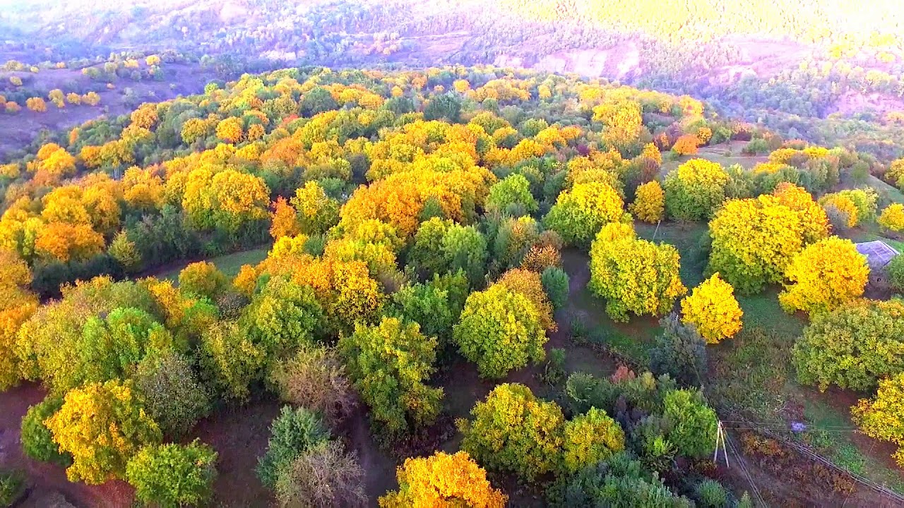 Копия видео 