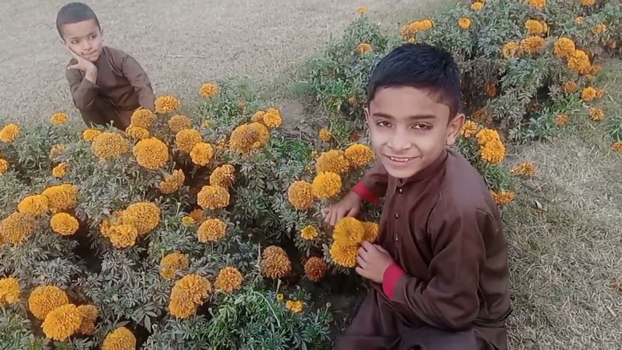 Bacche papa ke sath Khel rahe hain