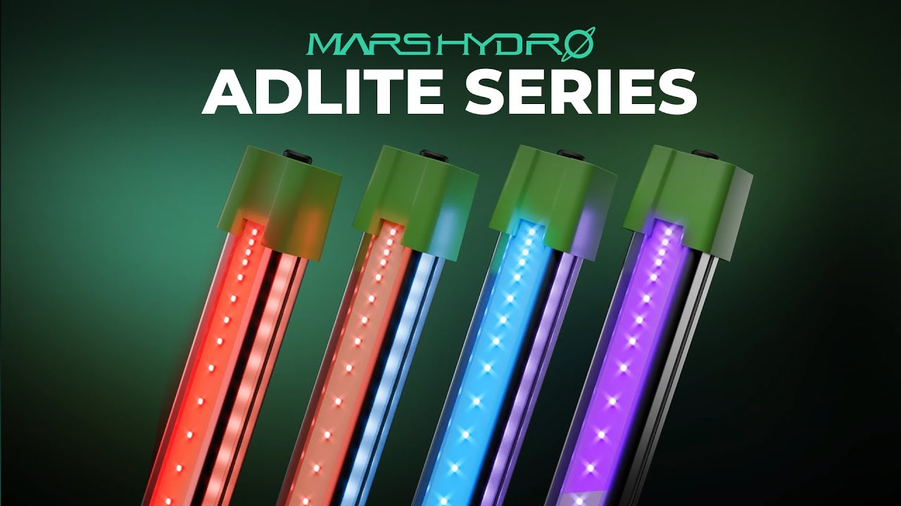 Everything You Need to Know About ADlite Supplemental Lights