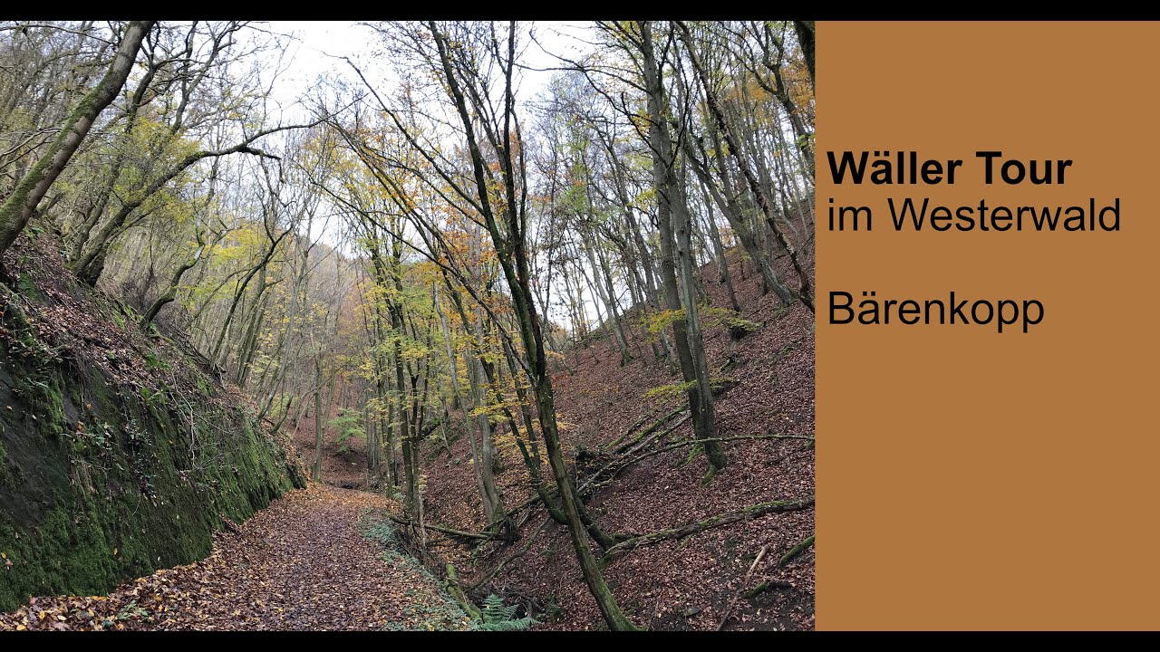 Wäller Tour „Bärenkopp“ – Tagestouren im Westerwald