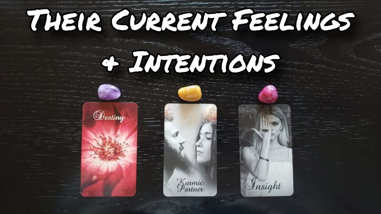 ❤🤲 Their Current Feelings & Intentions ❤🤲 Pick A Card Reading 