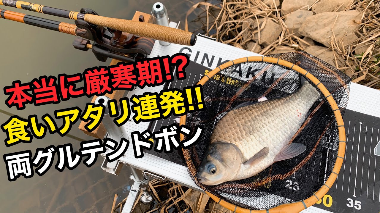 【ヘラブナ釣り】厳寒期 !?両グルテンバランスドボンで市野川アタリ連発！！