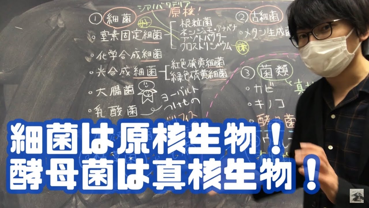 細菌と菌類　高校生物
