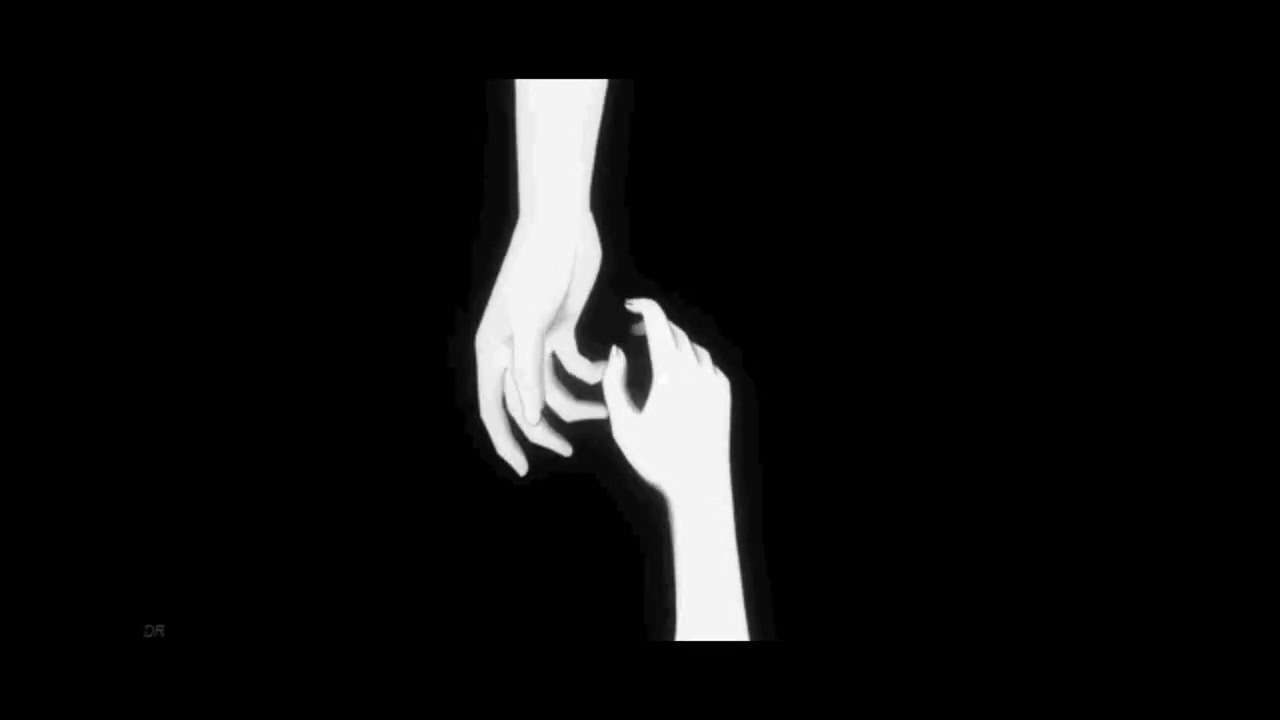 shizi - pare sztuk