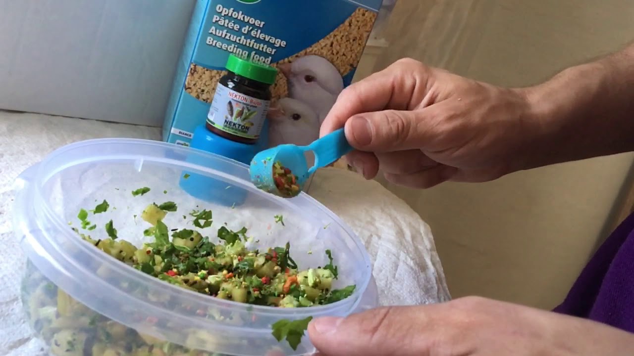 Vegetable Snack Food For Canaries