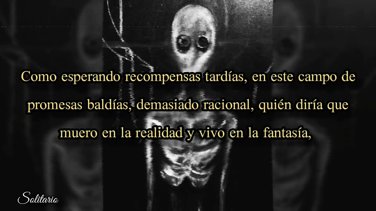 Solitario - Con la única tregua que me conceden los sueños [Letra]