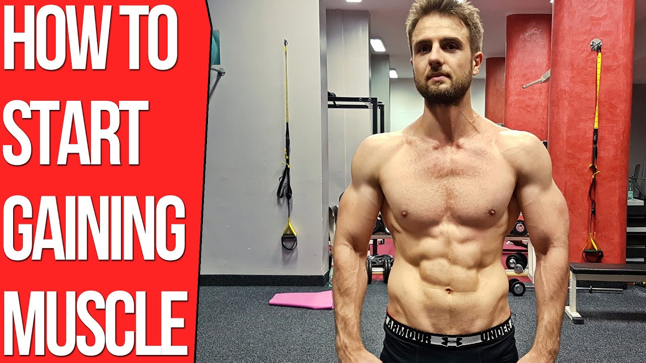 Why Am I Not Gaining Muscle? (Mini Guide Backed by Science)