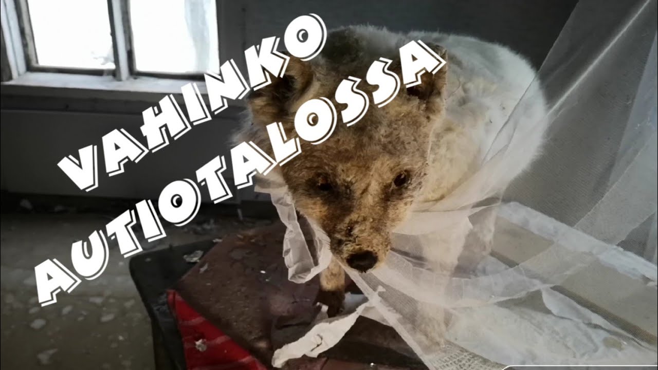 Autiotalo & Lattiasta läpi että heilahtaa !