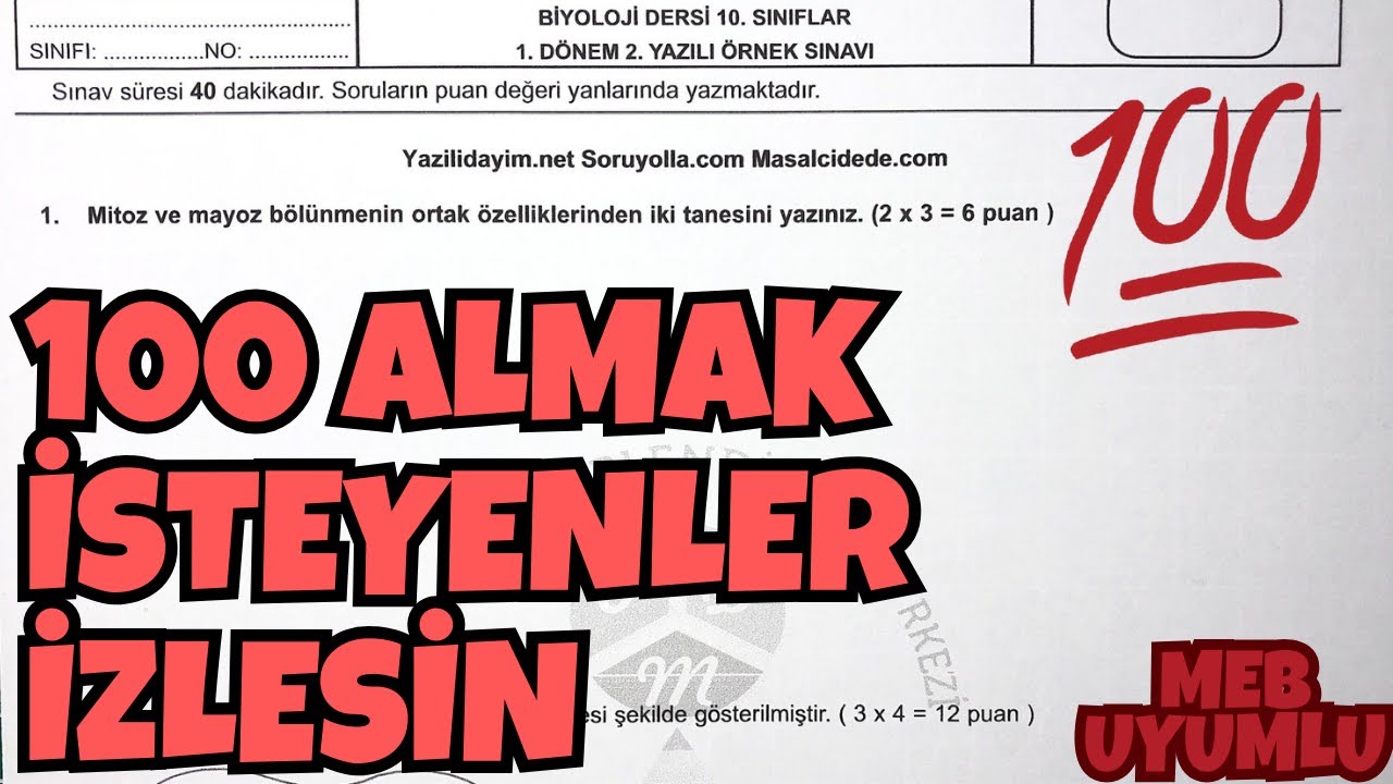 10.Sınıf Biyoloji 1.Dönem 2.Yazılı