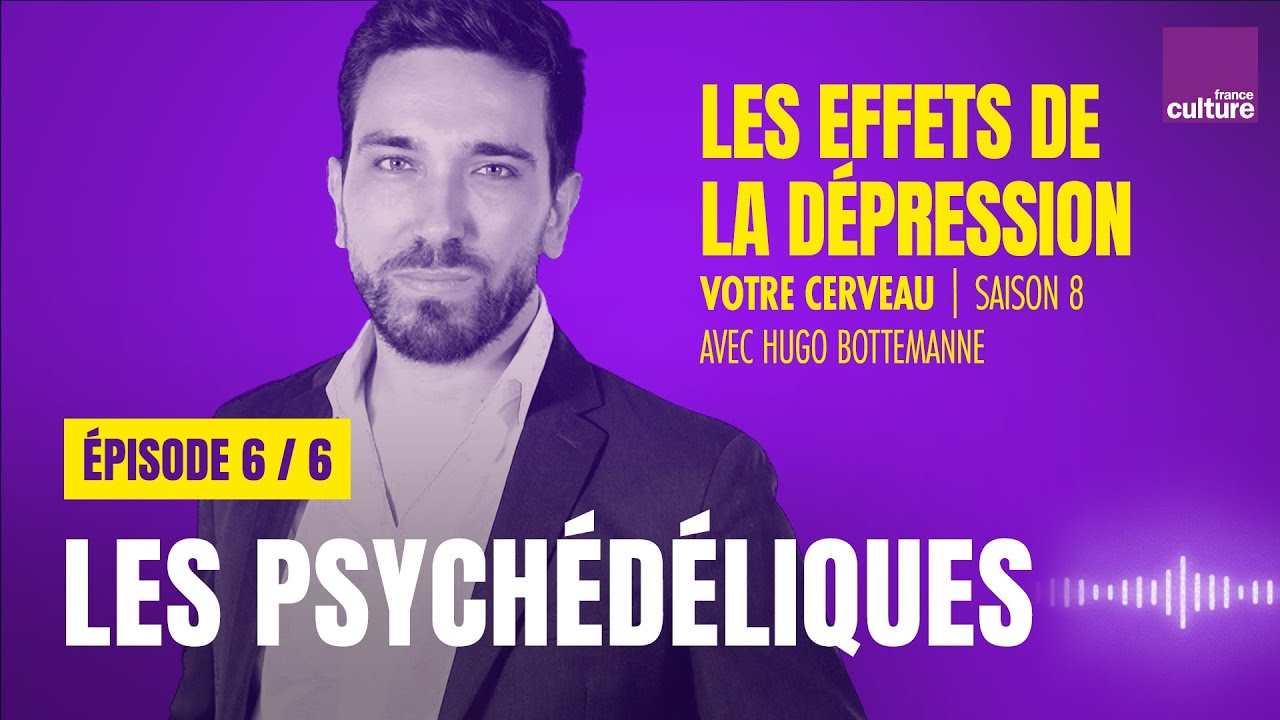 Comment les psychédéliques modifient le cerveau (6/6) | Votre cerveau, saison 8