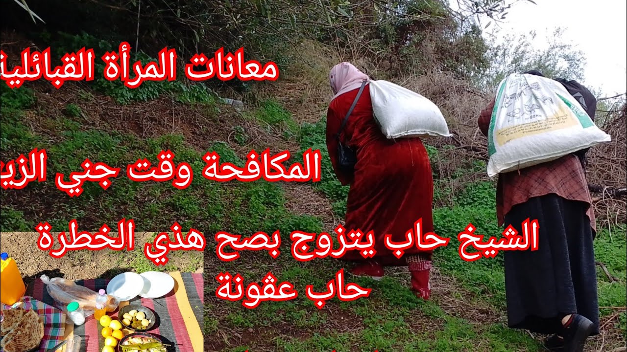 ارواحو معايا للمعصرة تشوفو شحال جبنا الزيت بزاف يقولو الزيت تاعنا مرة ارواح نقلك علاش