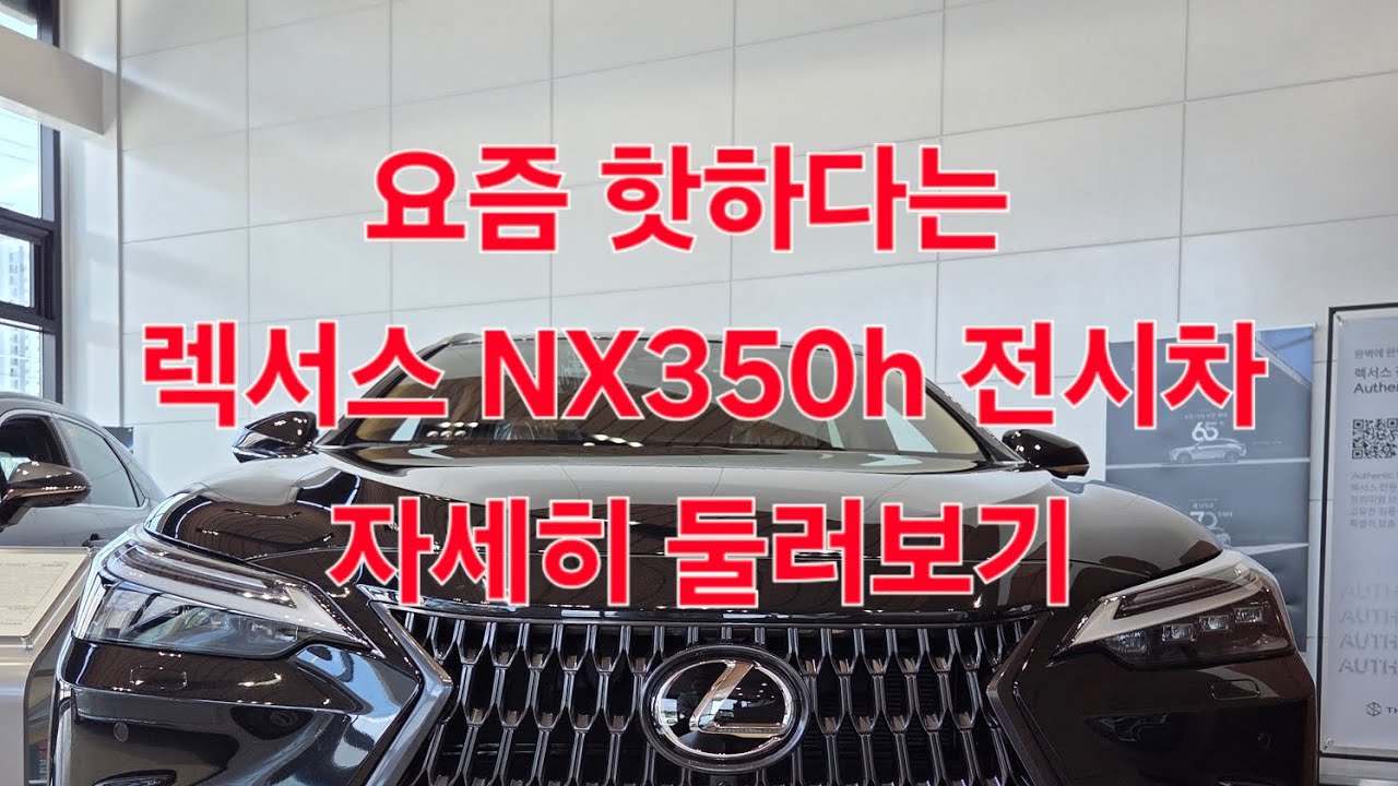 렉서스 NX350h 전시차 자세히 보기