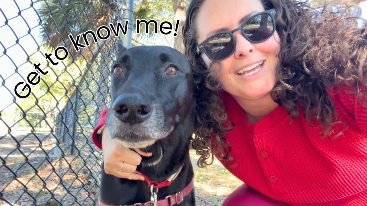 Walk and talk! Get to know me :)
