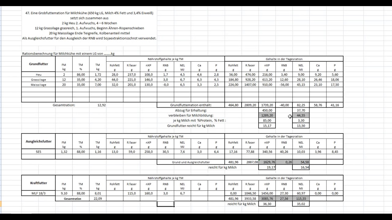 Futterrationsberechnung Milchvieh
