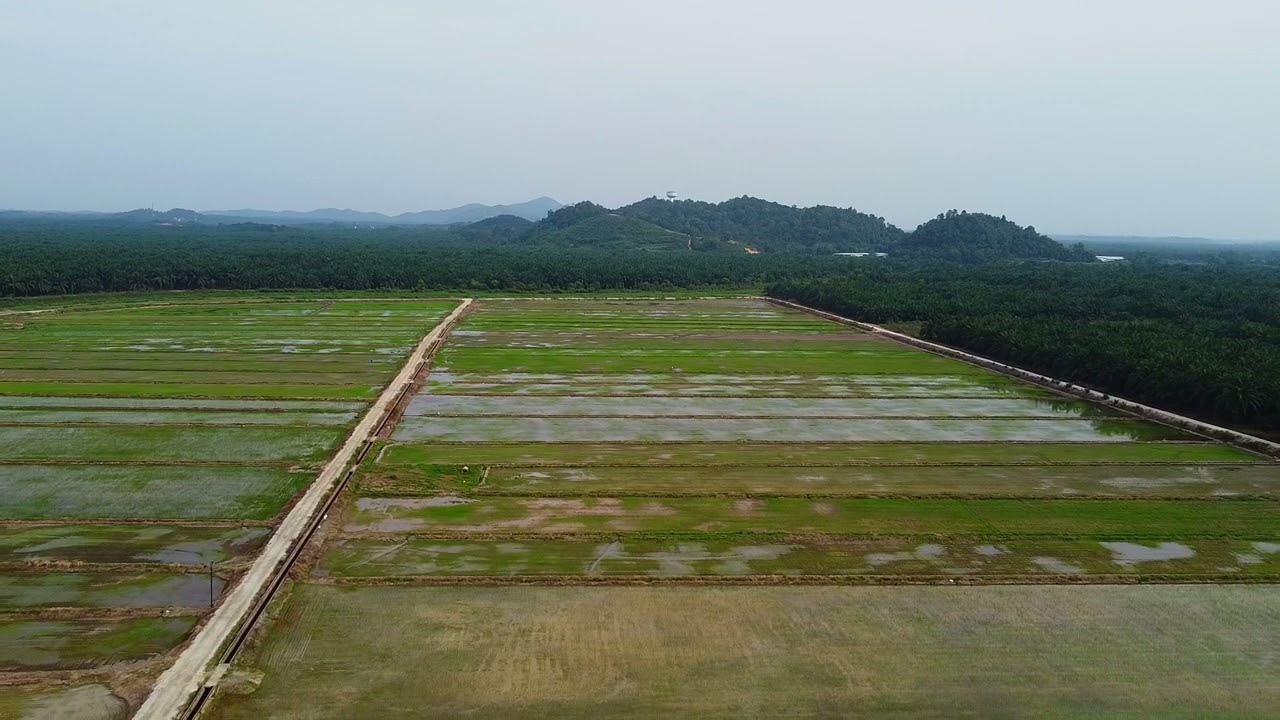 Suasana kampung sagil Sebelum menyambut ramadhan 2026