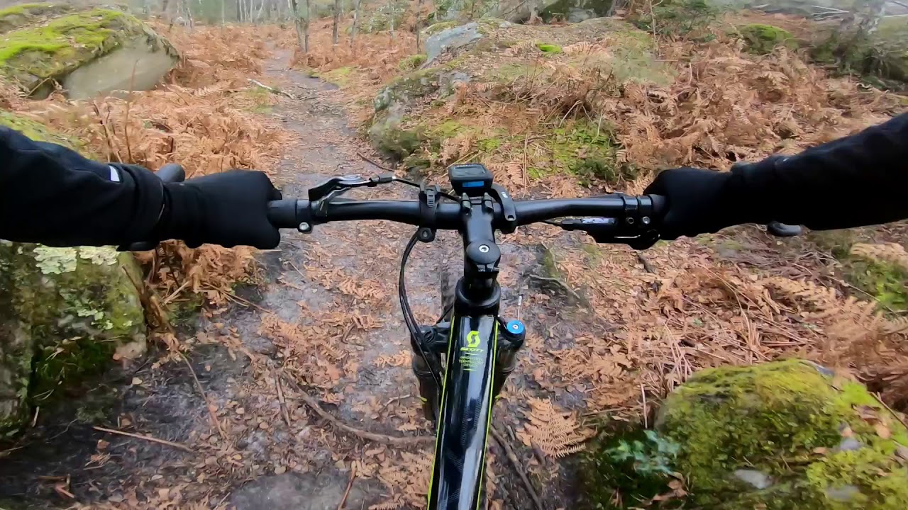 Autour des gorges de Franchard Fontainebleau 77