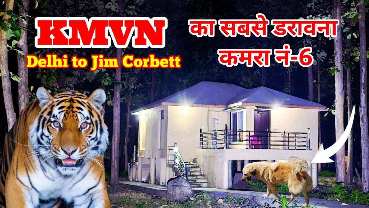JIM CORBETT NIGHT DRIVE | Delhi to Jim Corbett | KMVN Mohan @WILDLIFEWITHSUNIL