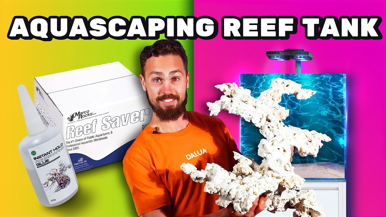 Aquascaping Rocks 101: A Beginner's Guide to Marco Rocks