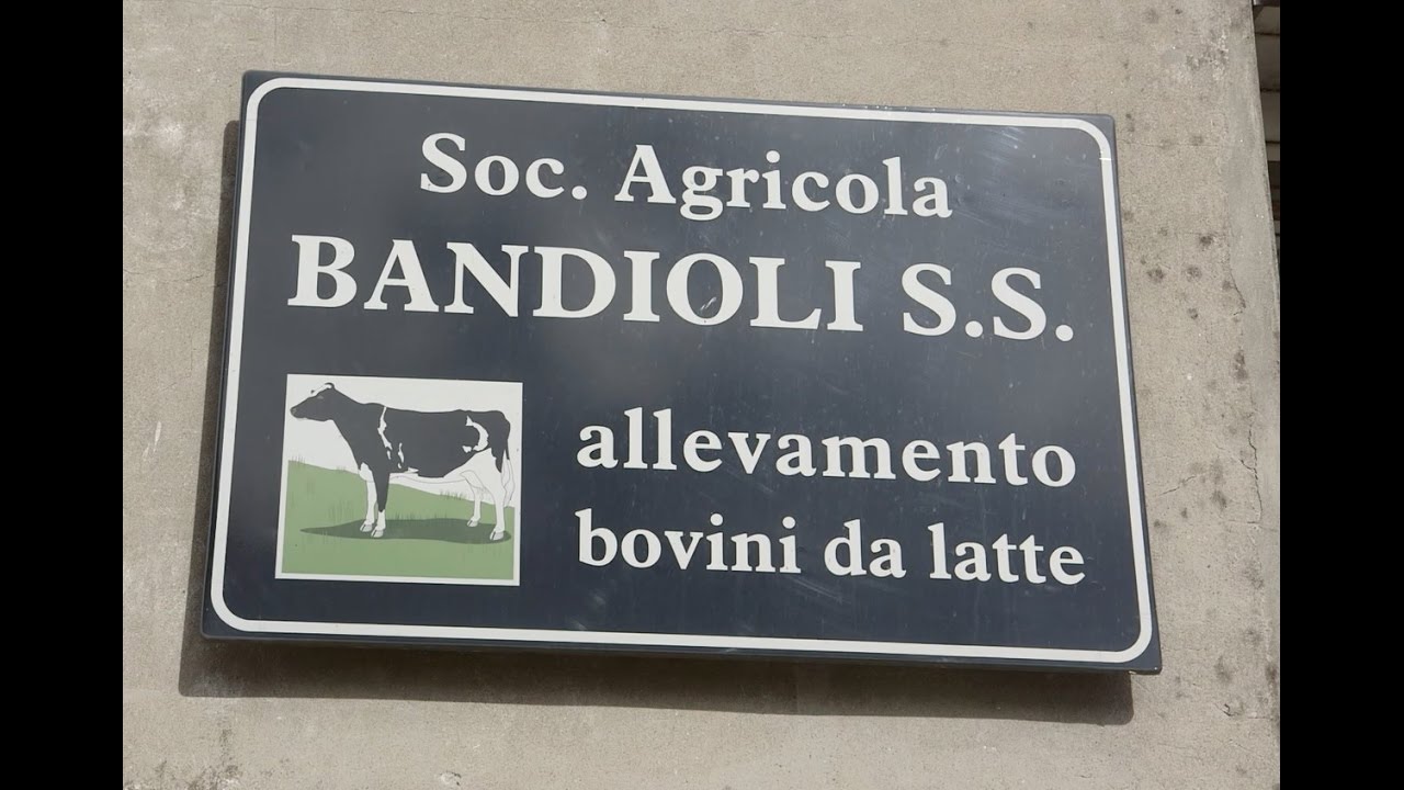 Lely Dairy XL - Bandioli farm - EN