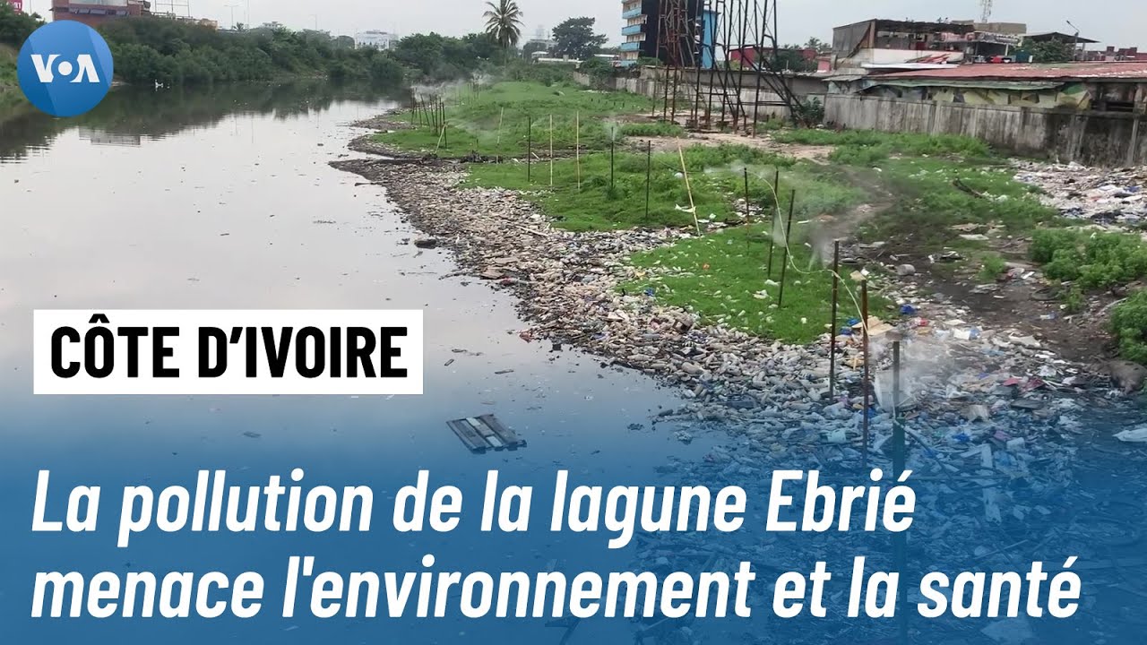 Côte d'Ivoire : la pollution de la lagune Ebrié menace l'environnement et la santé