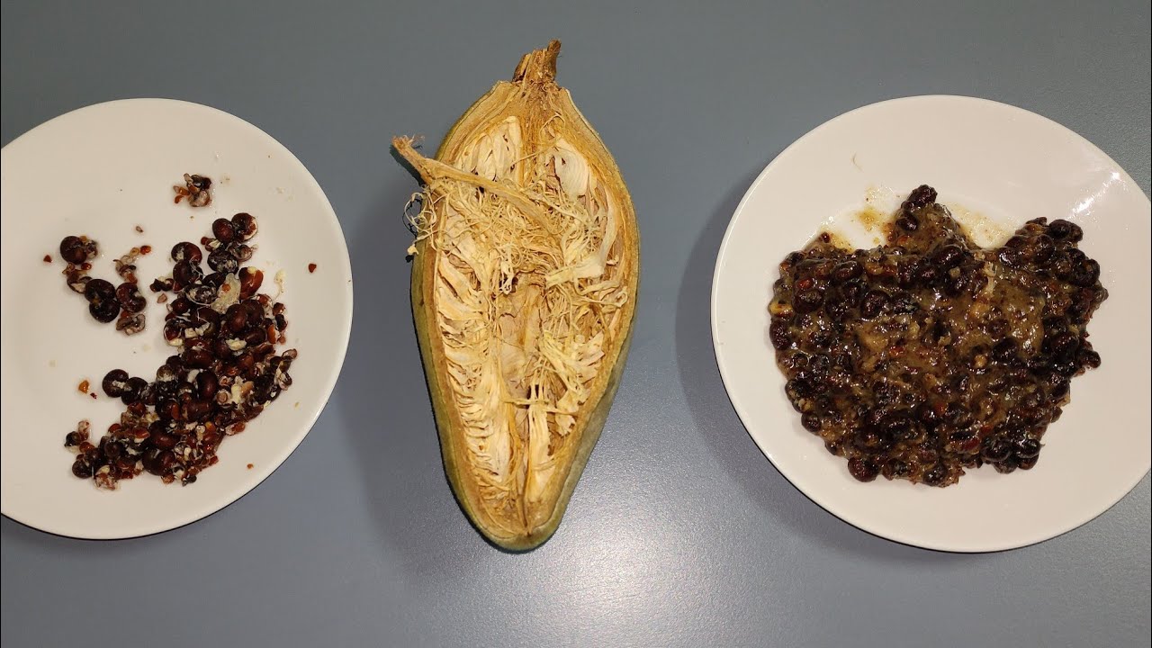 How to Cook and Eat Foraged Baobab Seeds (Adansonia digitata)