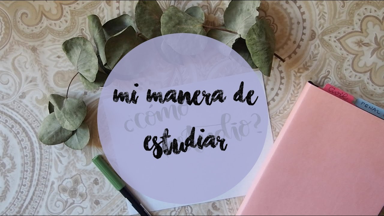 &iquest;C&oacute;mo estudio?