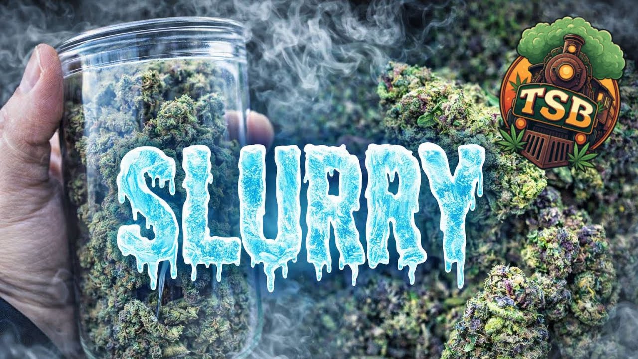 Slurry🥶thca small buds🍃Budget Strain!You Snoozed! SOLD OUT!😴Use Code JRSMOKES⛽️#hemp#legal#ai#tsb#jr