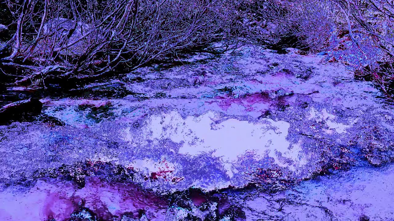 Night Rooms - Rotterdam (Music Video by eno)