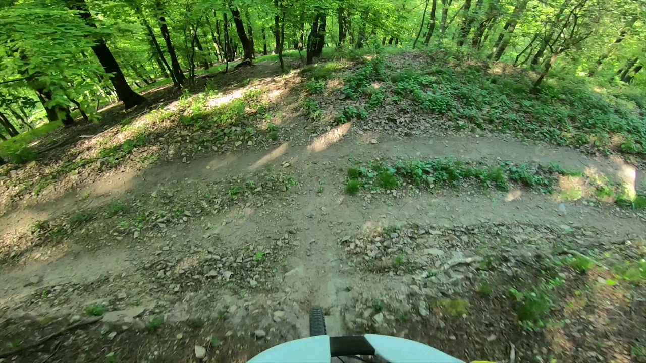 Striebornica DH trail