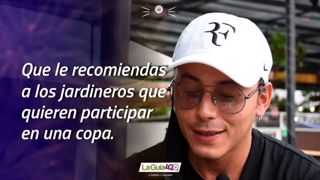 Qu&eacute; significa ser jurado en una Copa Cann&aacute;bica