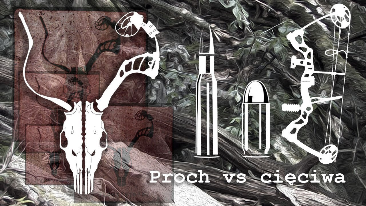 Proch vs cięciwa.