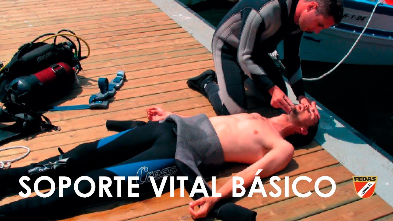 Soporte Vital Básico (FEDAS): INTRODUCCIÓN