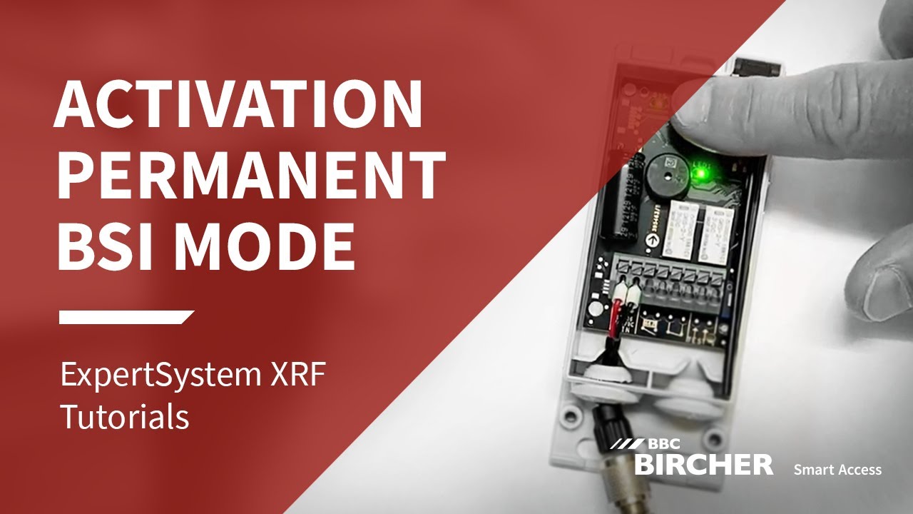 How to activate permanent BSI mode? | ExpertSystem XRF Tutorial | BBC Bircher Smart Access