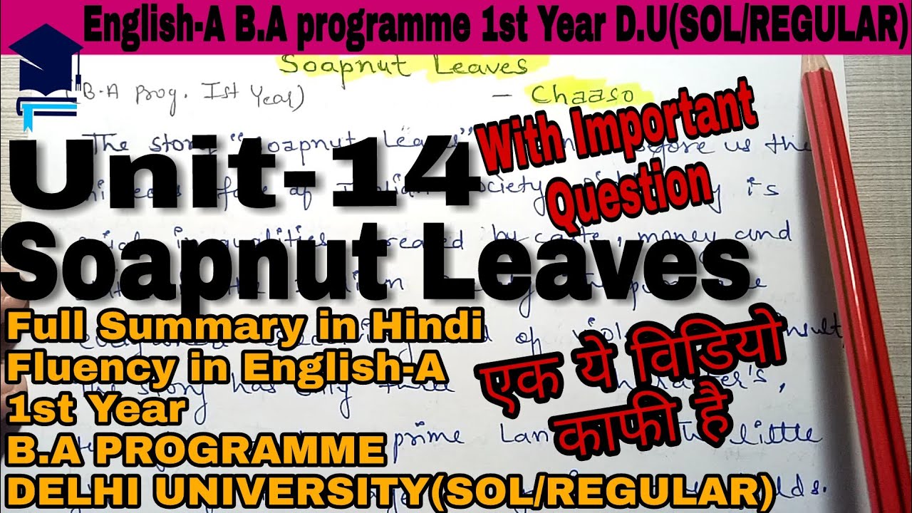 Soapnut Leaves Unit-14 by Chaaso|| full summary in Hindi(B.A Programme) Ist Year SOL #SoapnutLeaves